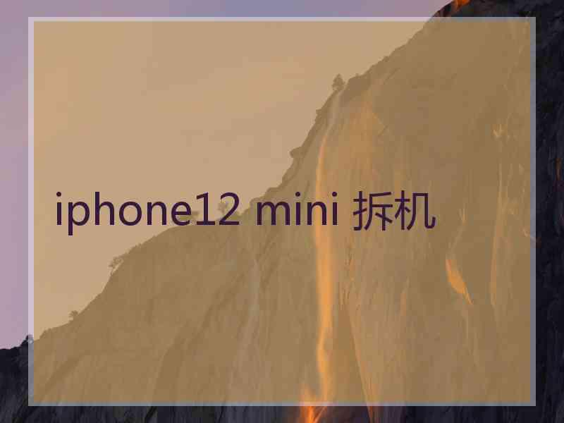 iphone12 mini 拆机