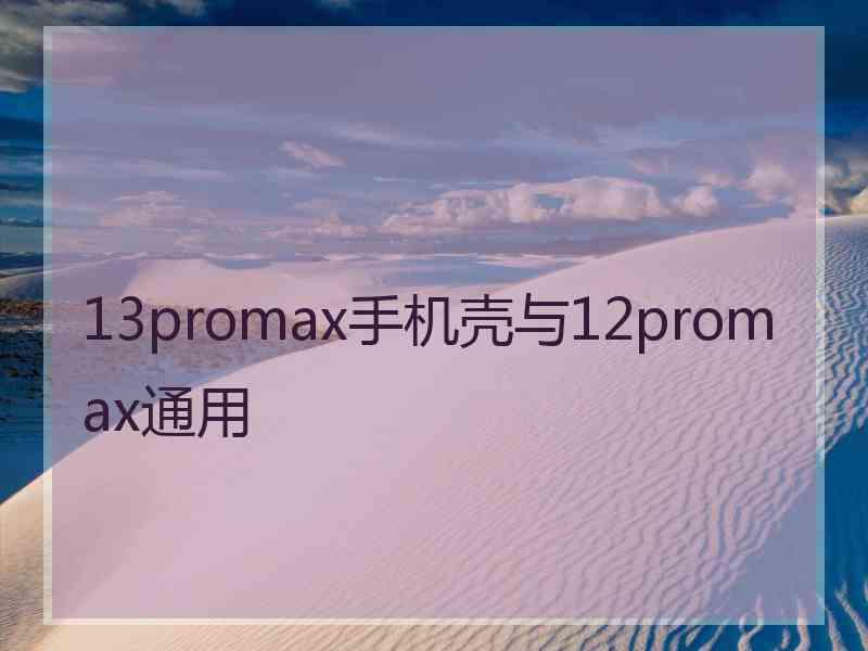 13promax手机壳与12promax通用