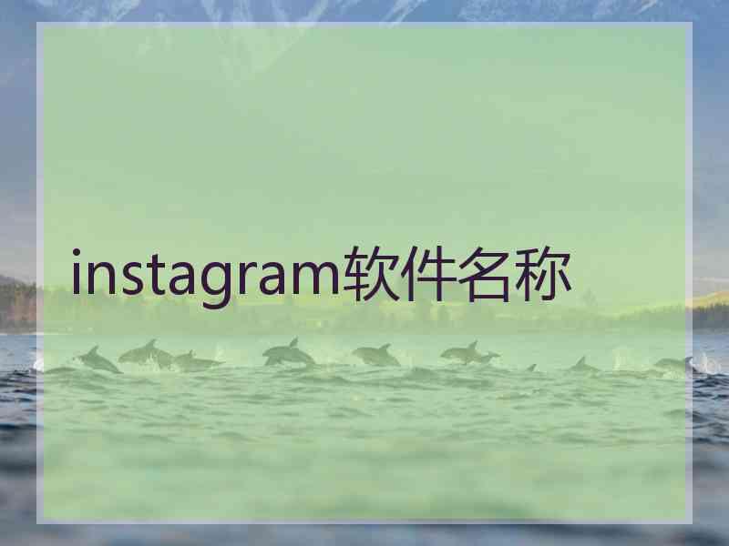 instagram软件名称