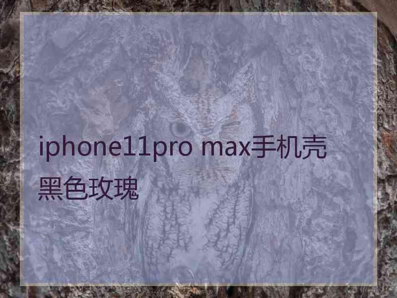 iphone11pro max手机壳黑色玫瑰