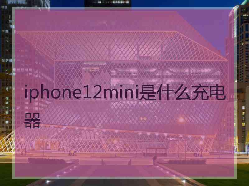 iphone12mini是什么充电器