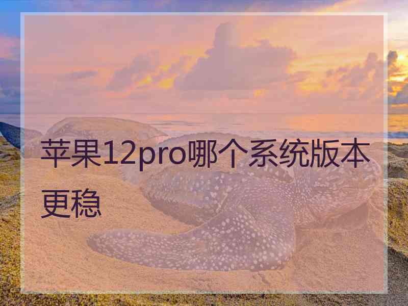 苹果12pro哪个系统版本更稳