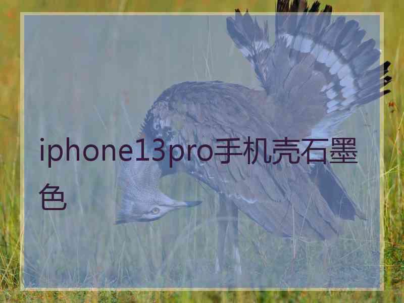 iphone13pro手机壳石墨色