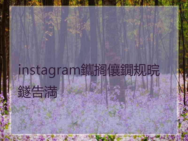 instagram鑴搁儴鐗规晥鐩告満