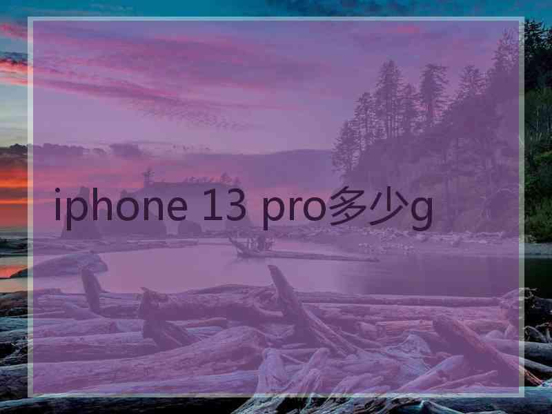 iphone 13 pro多少g