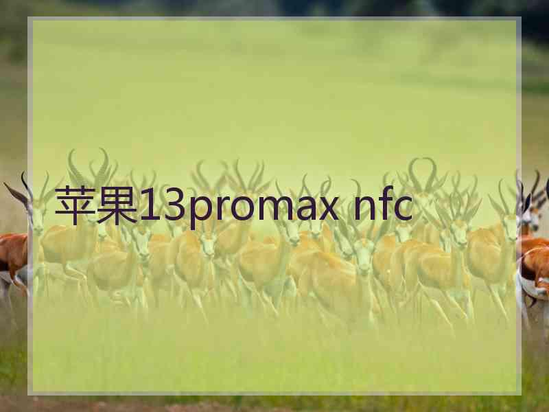 苹果13promax nfc