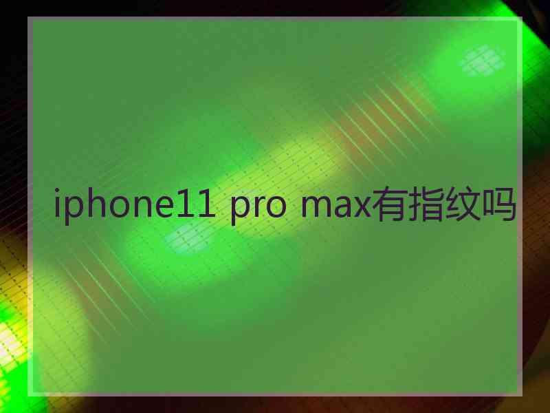 iphone11 pro max有指纹吗