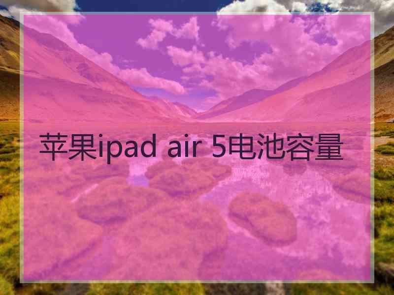 苹果ipad air 5电池容量