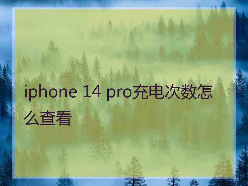 iphone 14 pro充电次数怎么查看