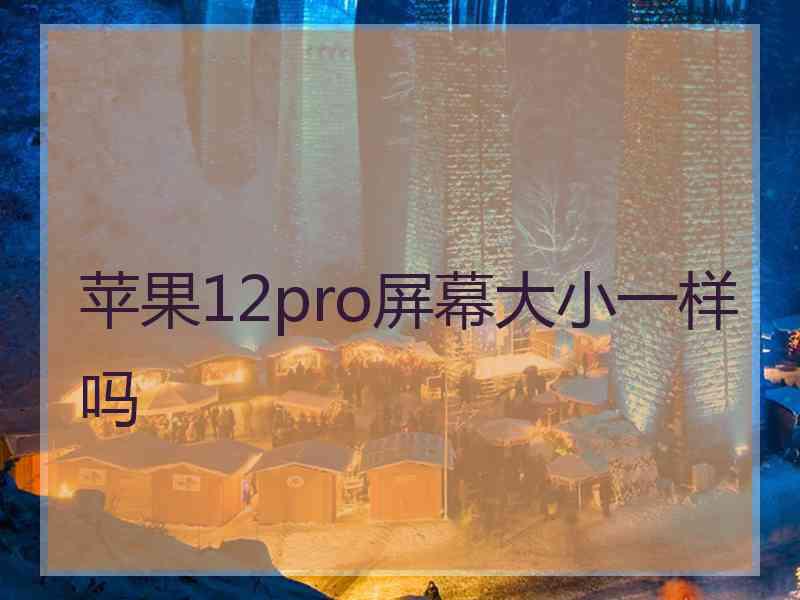 苹果12pro屏幕大小一样吗