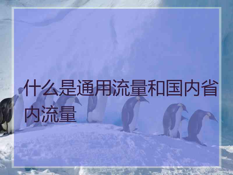 什么是通用流量和国内省内流量