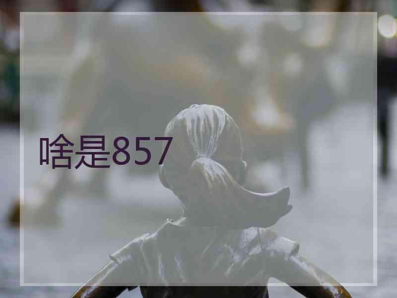 啥是857