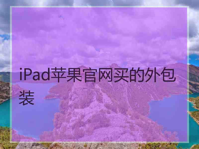 iPad苹果官网买的外包装