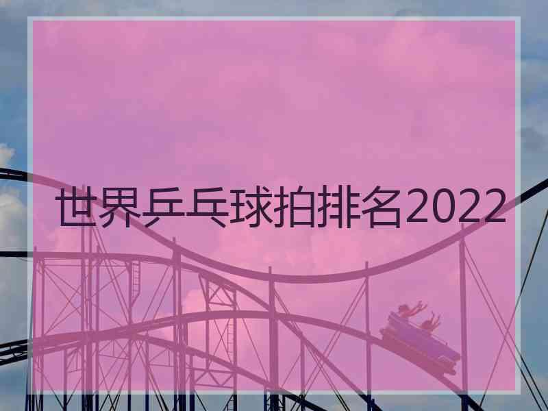 世界乒乓球拍排名2022