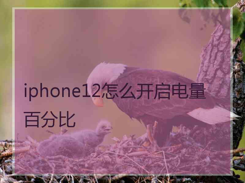 iphone12怎么开启电量百分比