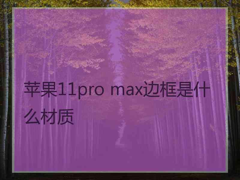 苹果11pro max边框是什么材质