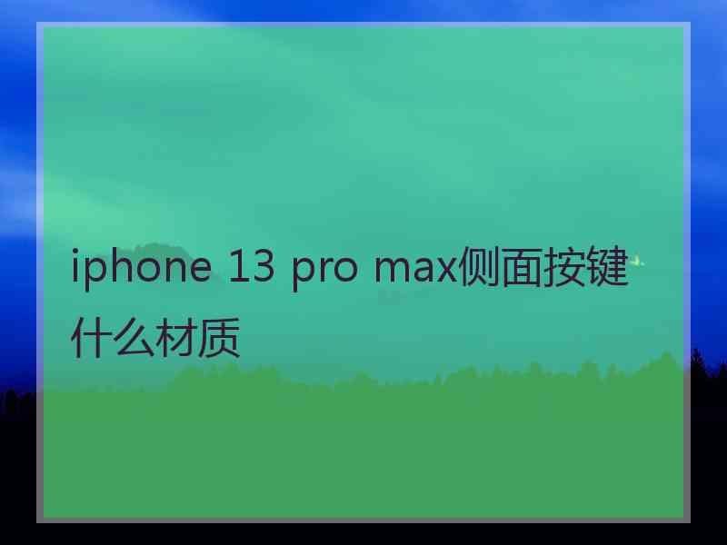 iphone 13 pro max侧面按键什么材质