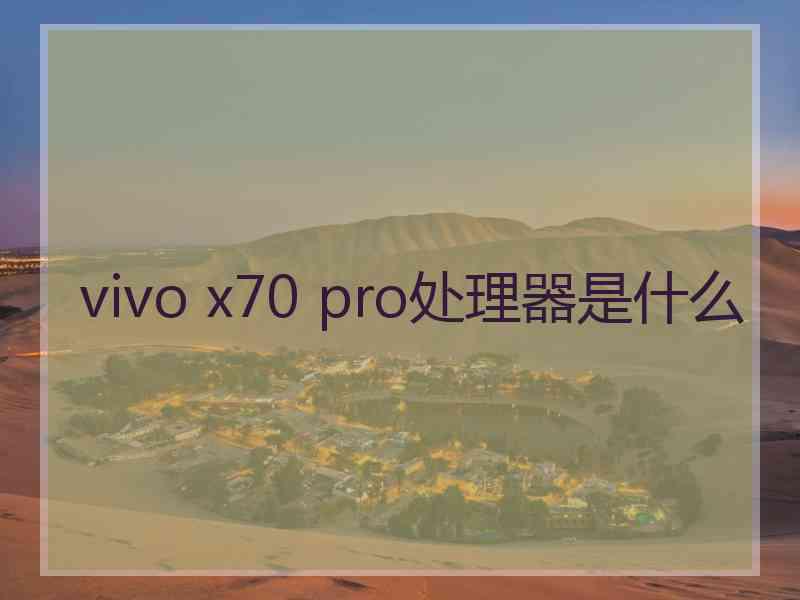 vivo x70 pro处理器是什么