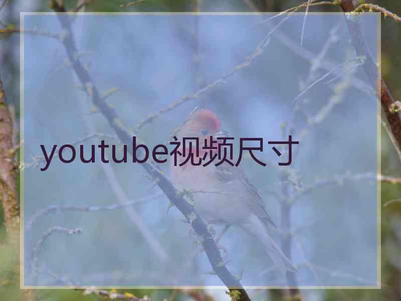 youtube视频尺寸