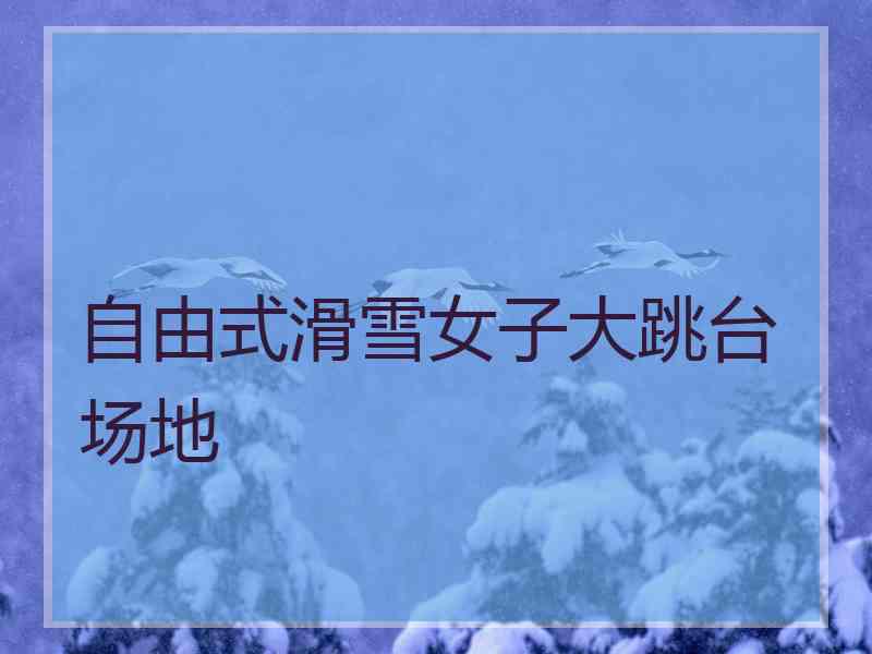 自由式滑雪女子大跳台场地