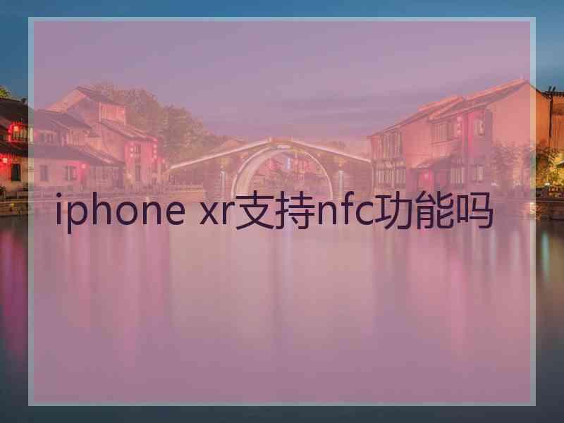 iphone xr支持nfc功能吗