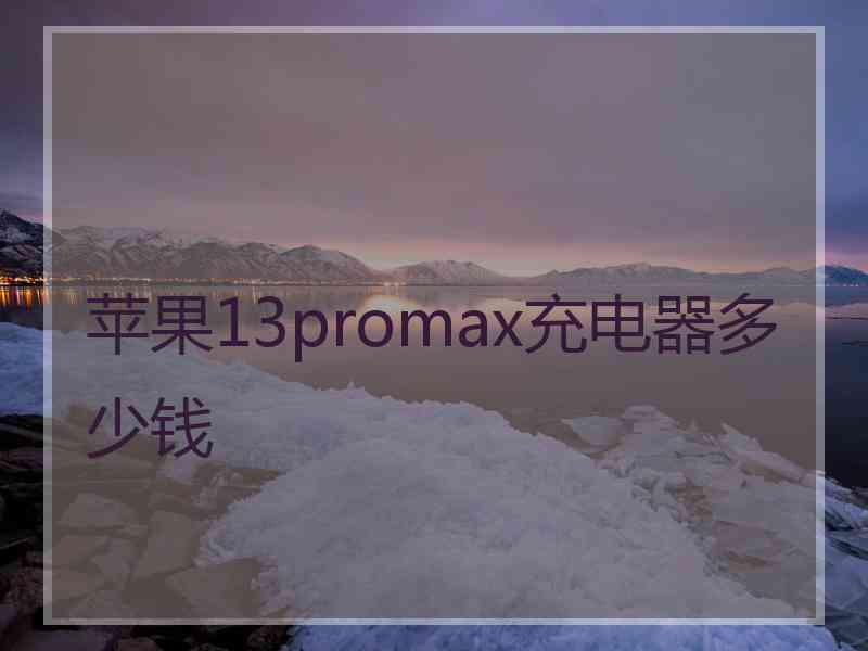 苹果13promax充电器多少钱