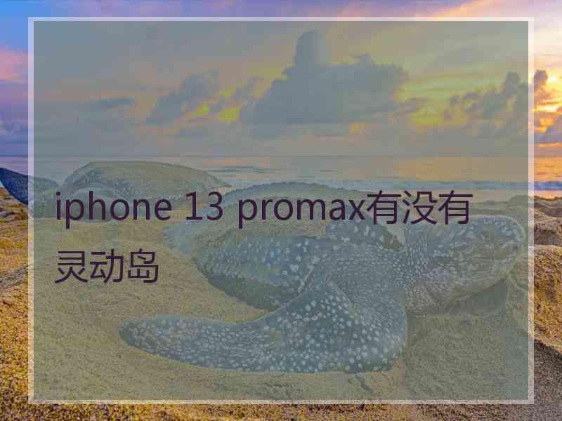 iphone 13 promax有没有灵动岛