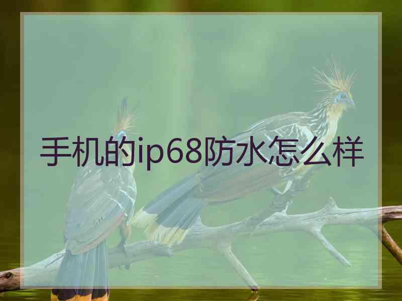 手机的ip68防水怎么样