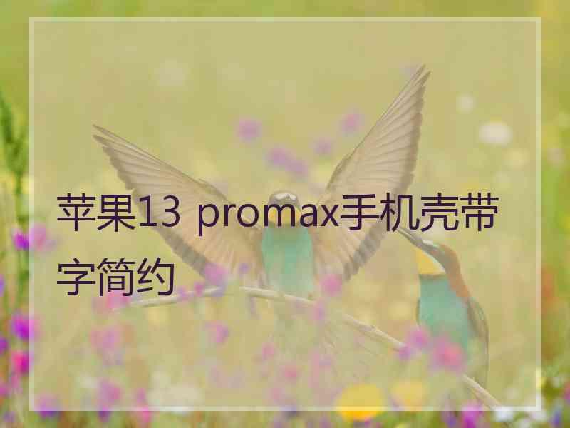 苹果13 promax手机壳带字简约