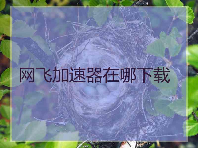 网飞加速器在哪下载