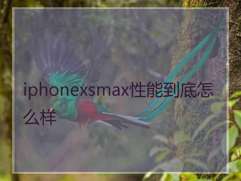 iphonexsmax性能到底怎么样