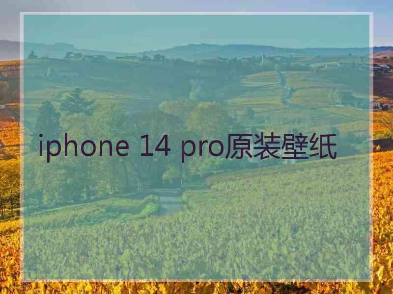 iphone 14 pro原装壁纸