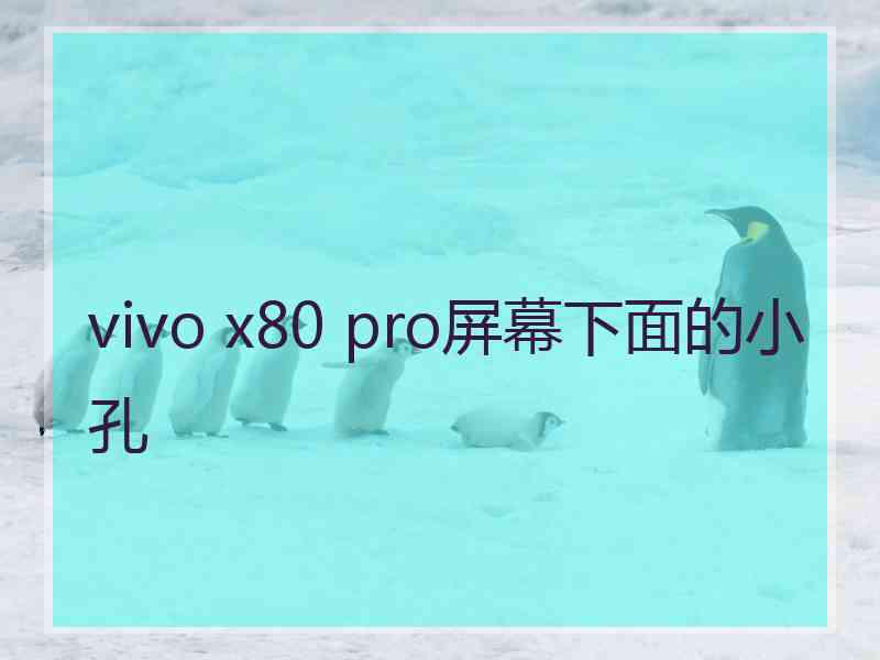 vivo x80 pro屏幕下面的小孔