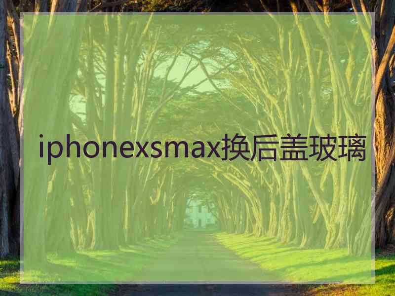 iphonexsmax换后盖玻璃