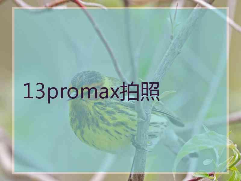 13promax拍照