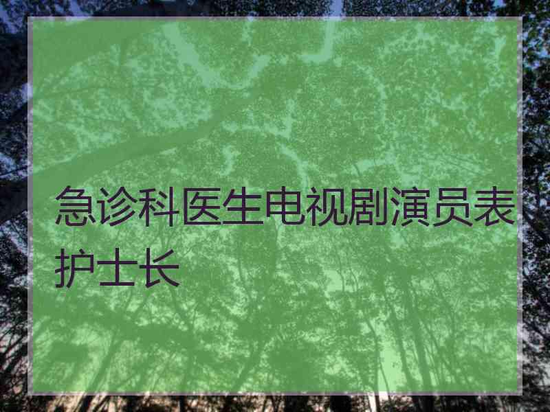 急诊科医生电视剧演员表护士长