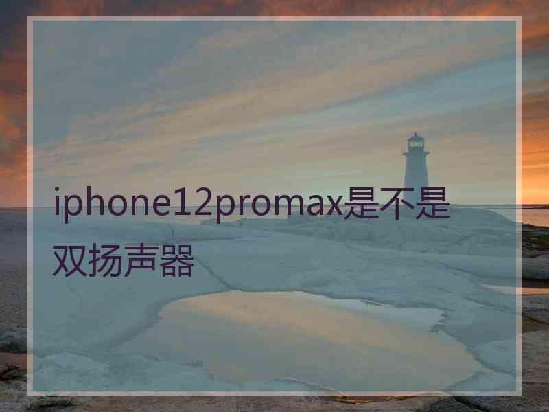 iphone12promax是不是双扬声器