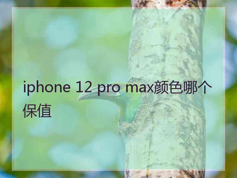 iphone 12 pro max颜色哪个保值