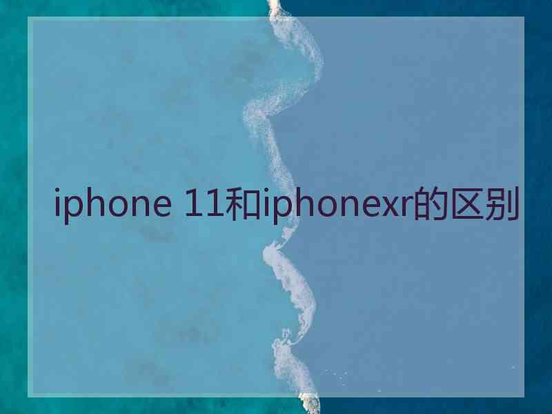 iphone 11和iphonexr的区别