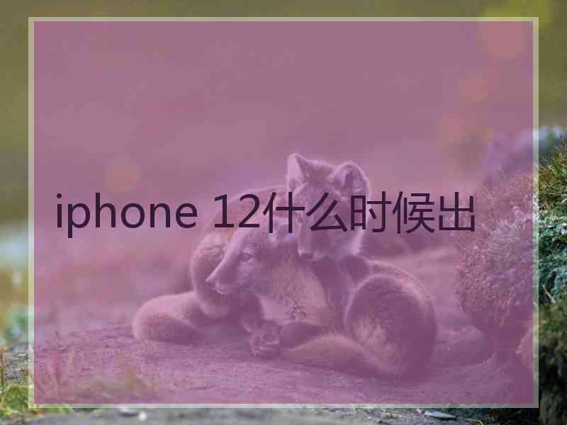 iphone 12什么时候出