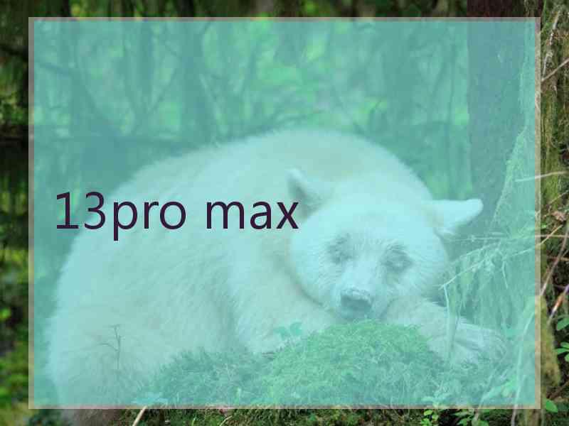 13pro max