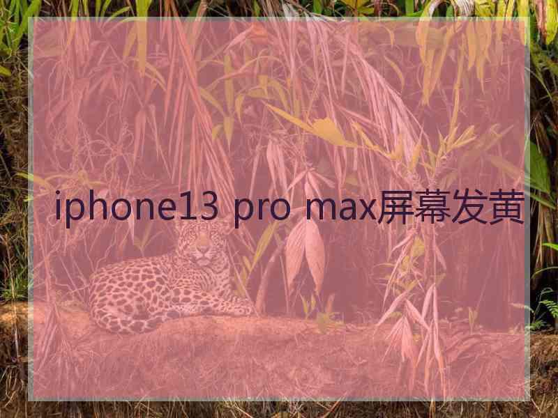 iphone13 pro max屏幕发黄