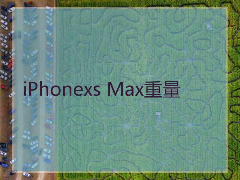 iPhonexs Max重量