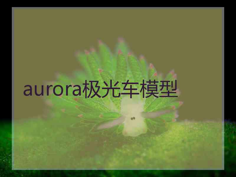 aurora极光车模型