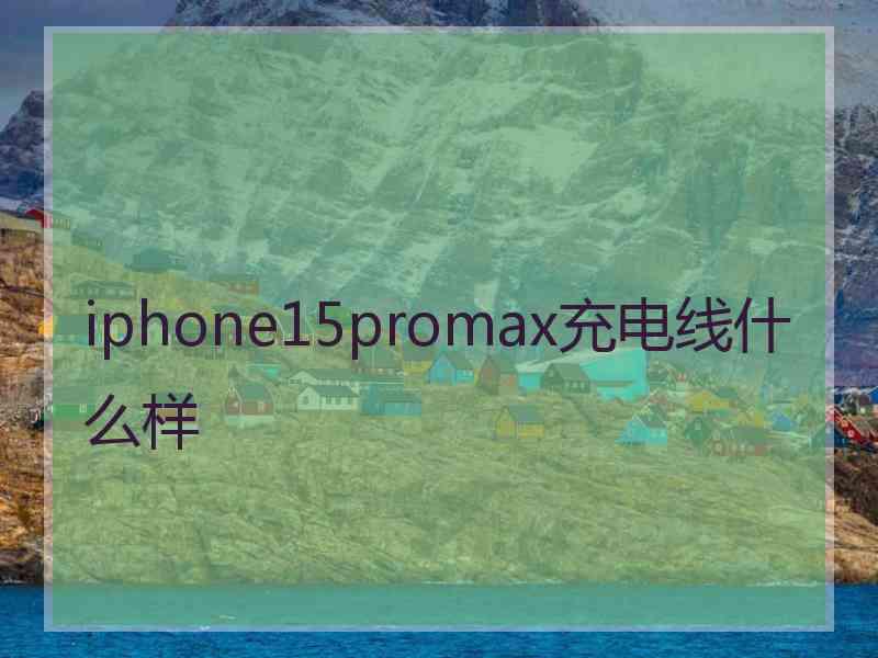 iphone15promax充电线什么样