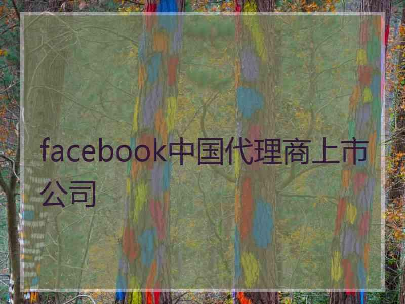 facebook中国代理商上市公司