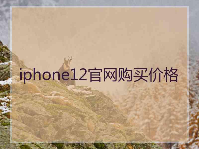 iphone12官网购买价格