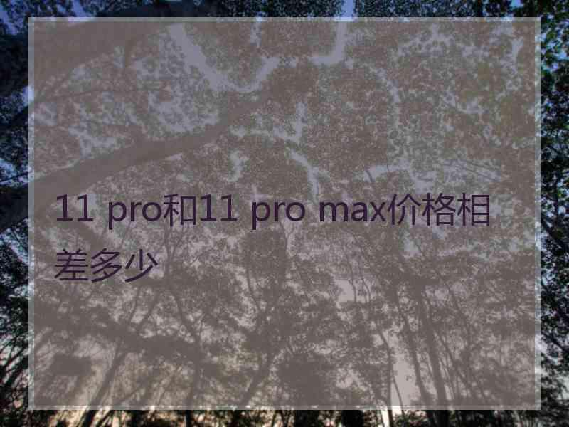 11 pro和11 pro max价格相差多少