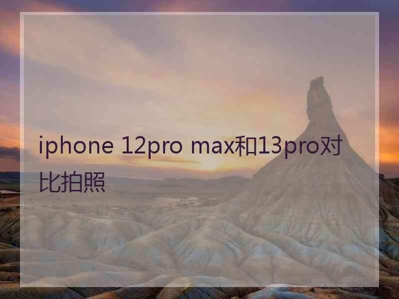 iphone 12pro max和13pro对比拍照