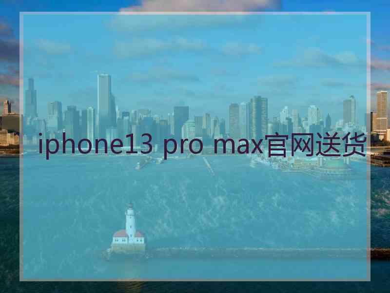 iphone13 pro max官网送货